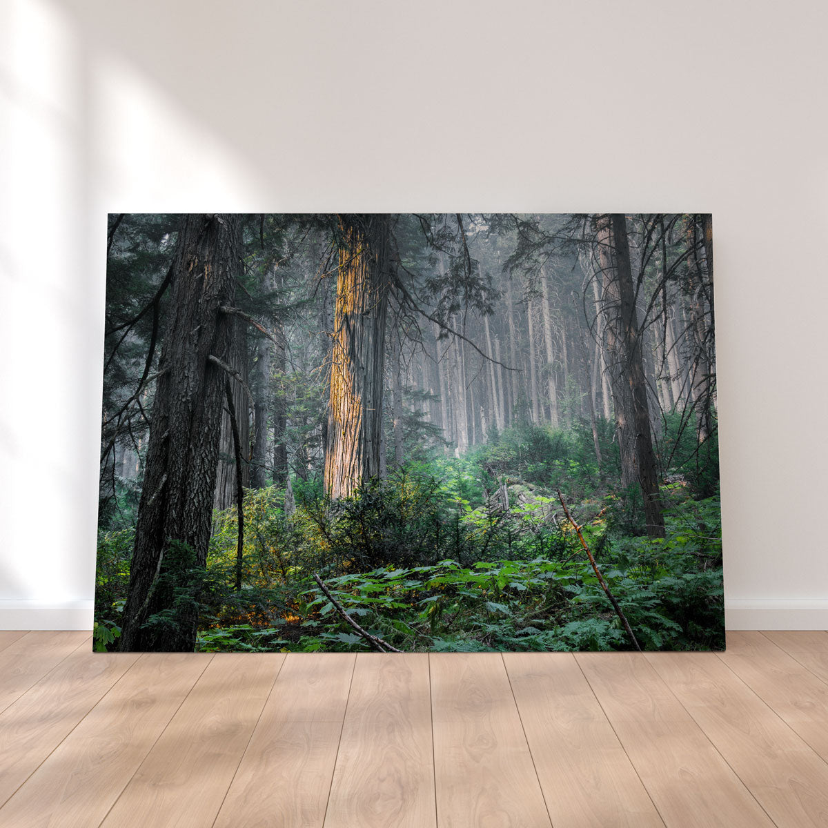 Exquisite Revelstoke Wall Art by Mike Cotton