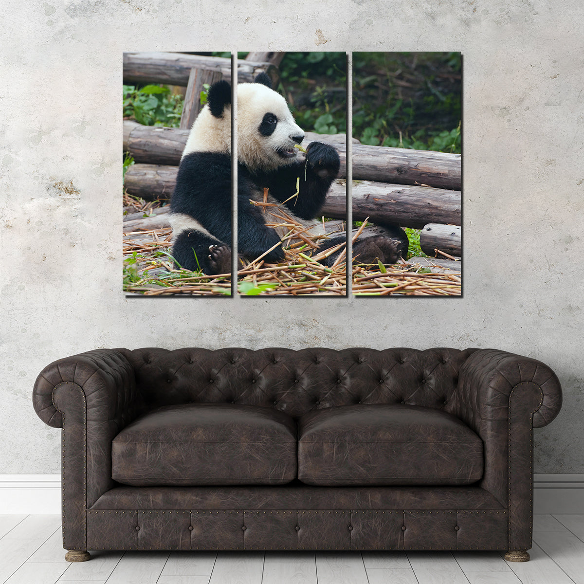 Adorable Panda Bear Eating Bamboo Wall Art for Home Decor