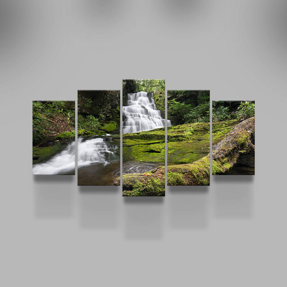 Stunning Rattlesnake Falls Wall Art by Shaun Mayer