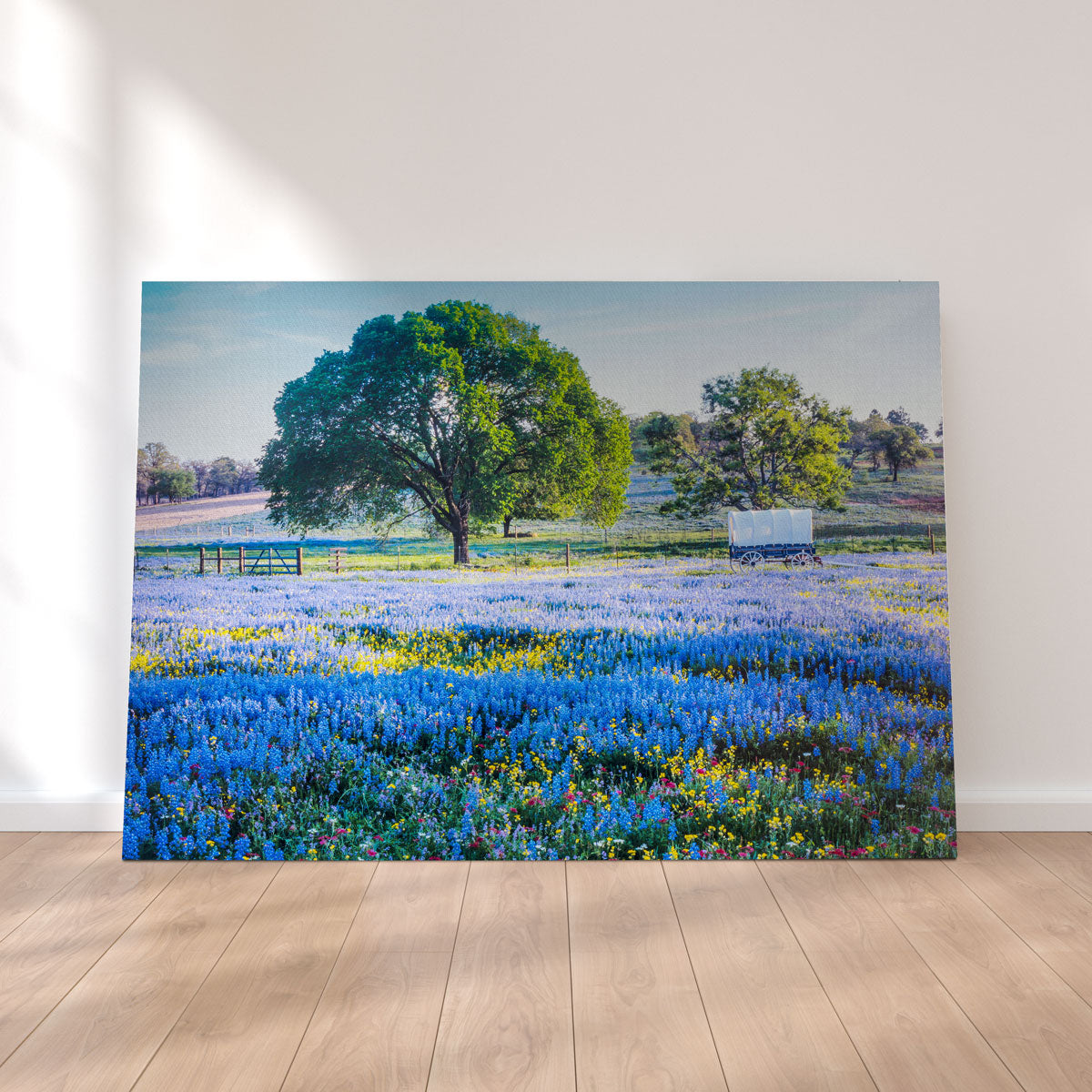 Gorgeous Texas Hill Country in Spring Wall Art for Stunning Home Decor