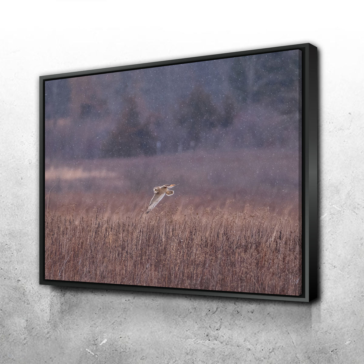 Stunning Owl in the Snow Wall Art by Dennis Maida