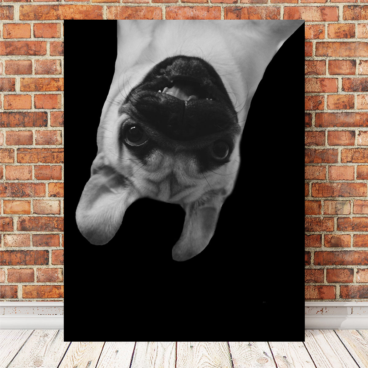 Hilarious Pug Dog Wall Art by Lawisi