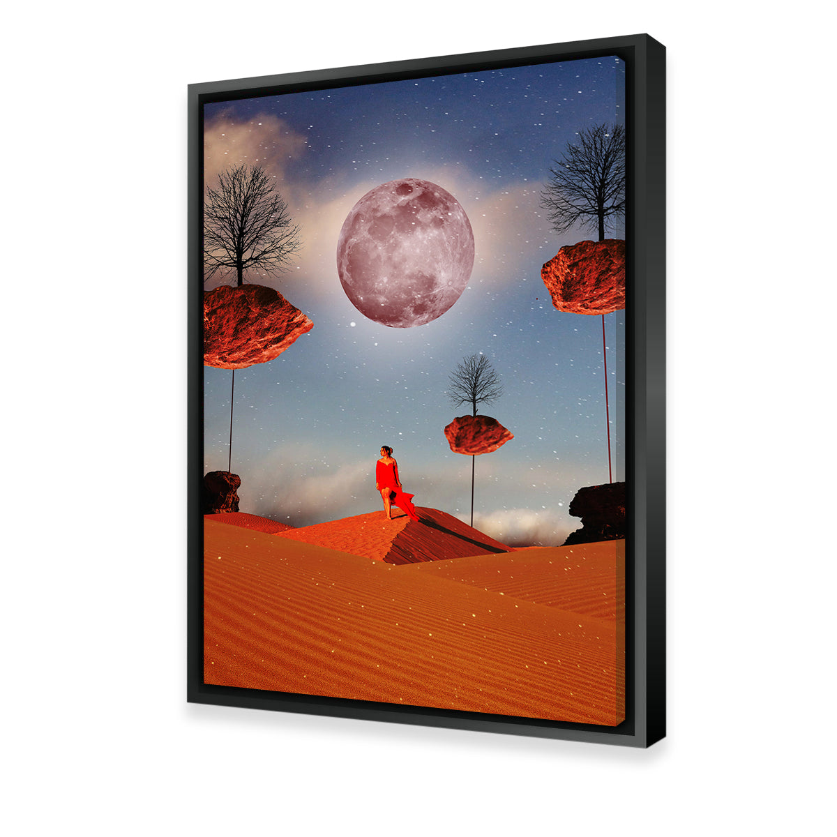 Exquisite Desert Wall Art by RAPart