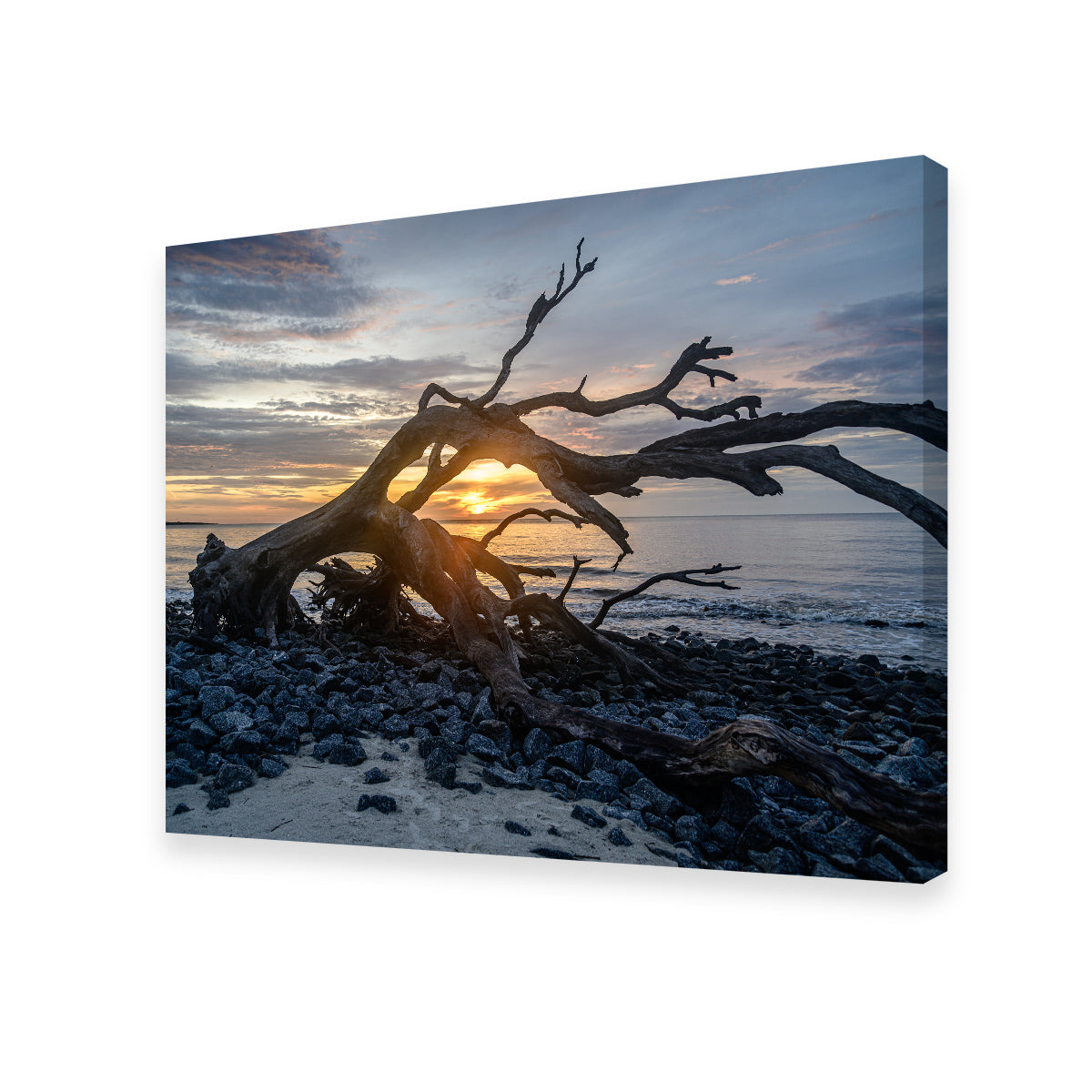 Exquisite Jekyll Island, Georgia Wall Art by Barry Pack