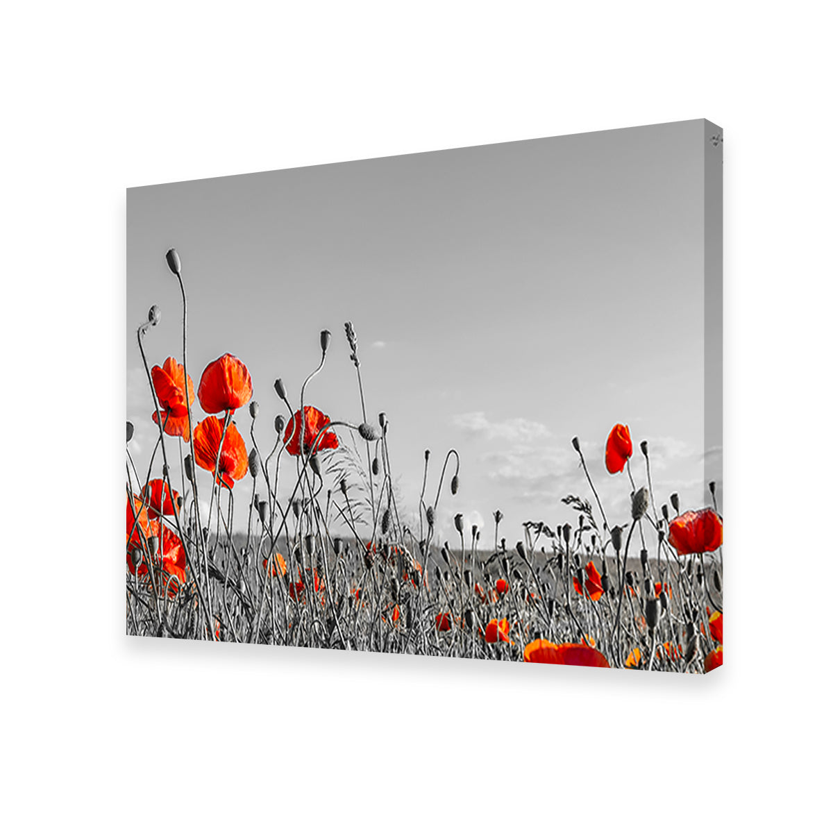 Gorgeous Lovely Poppy Field Wall Art for Home Decor