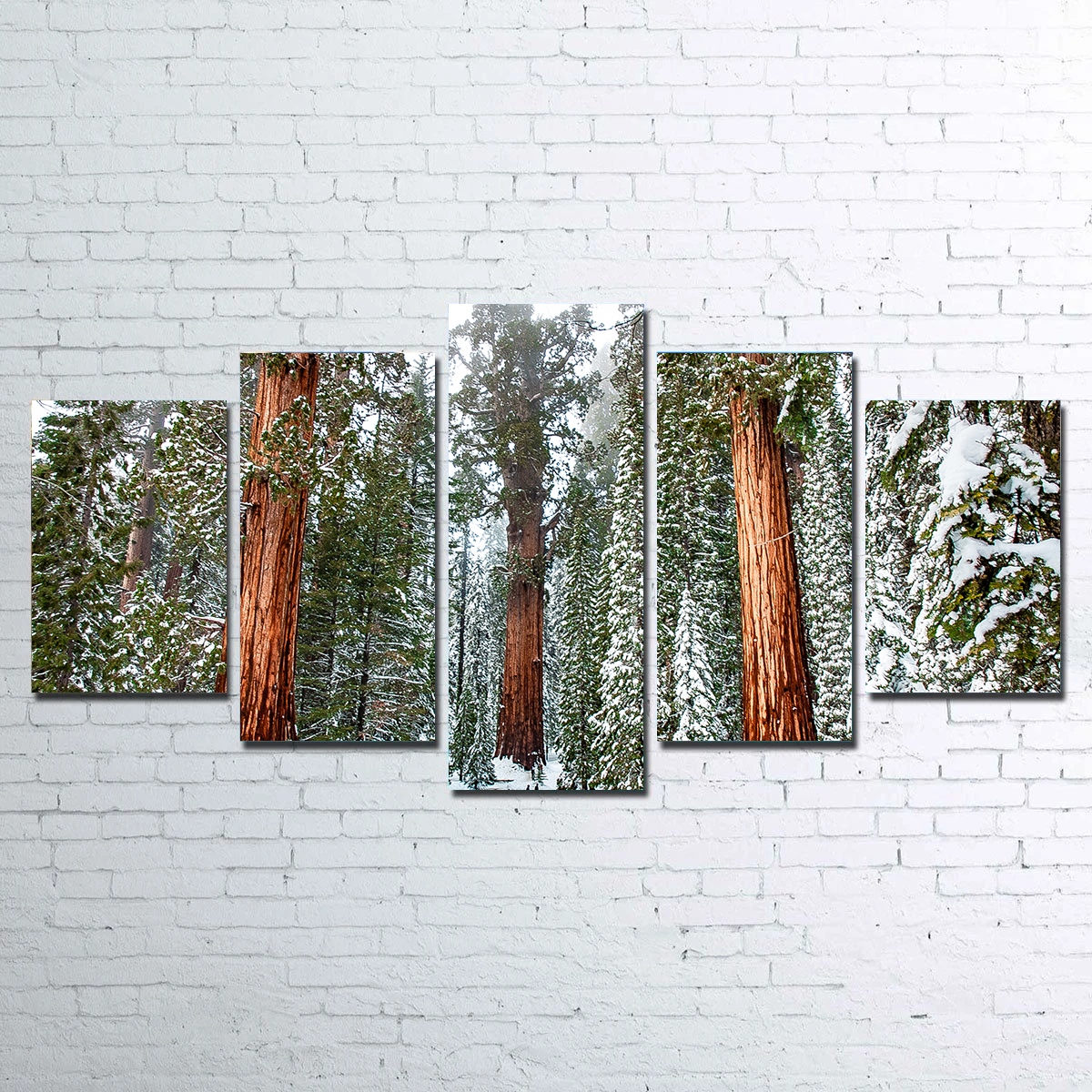 Kyle Sherry's Exquisite General Wall Art