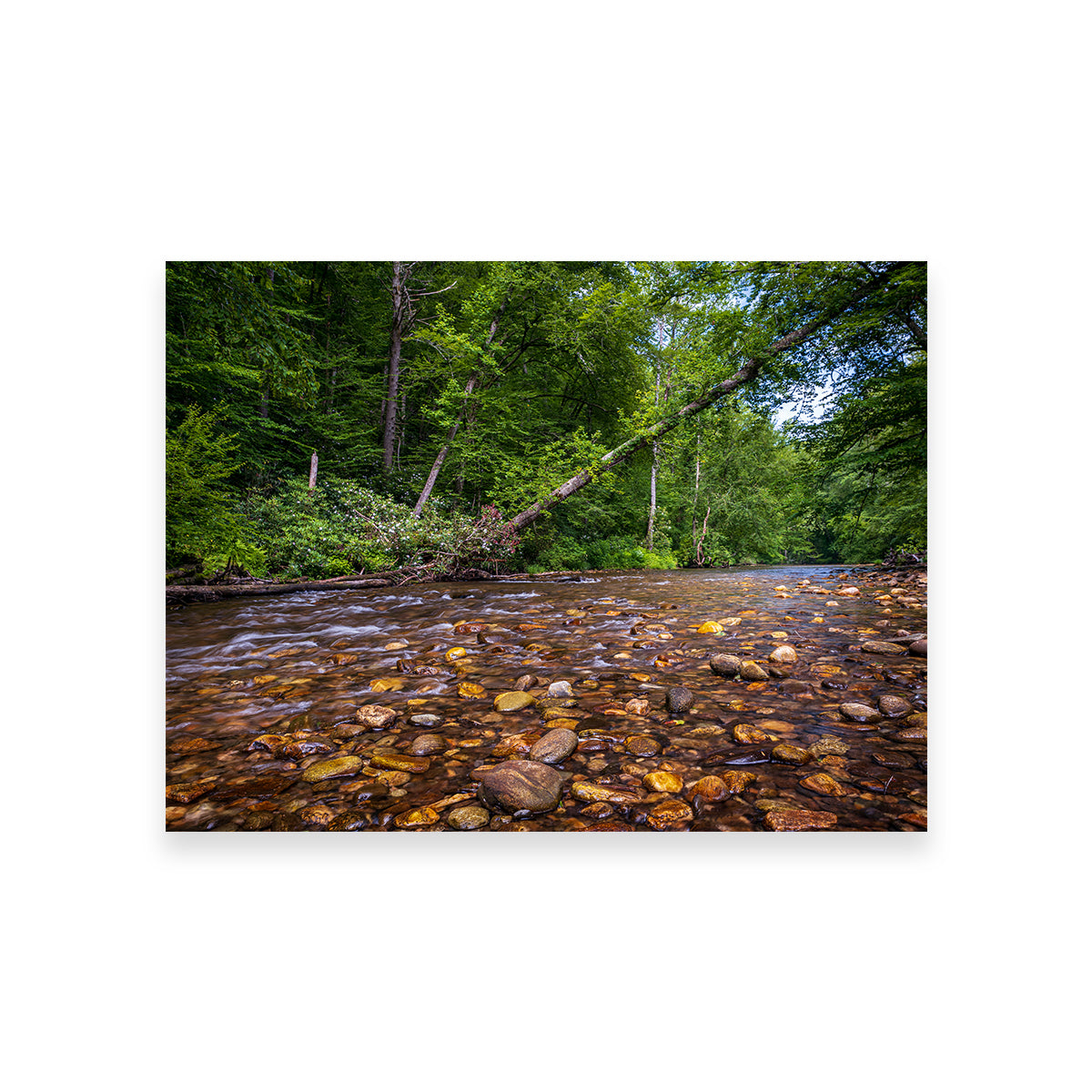 Stunning Blue Ridge Pky NC Wall Art by Barry Pack
