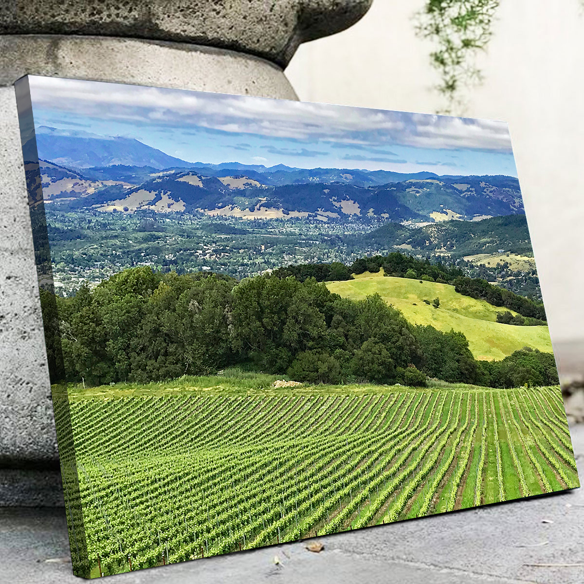 Stunning Rolling Hills and Vineyards of Sonoma County Wall Art for Your Home Decor