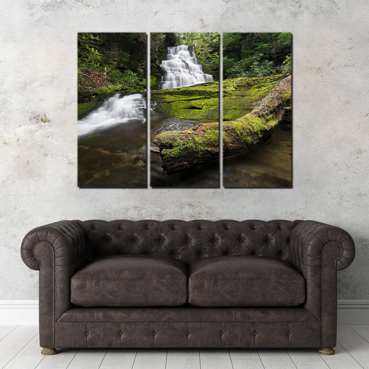 Stunning Rattlesnake Falls Wall Art by Shaun Mayer