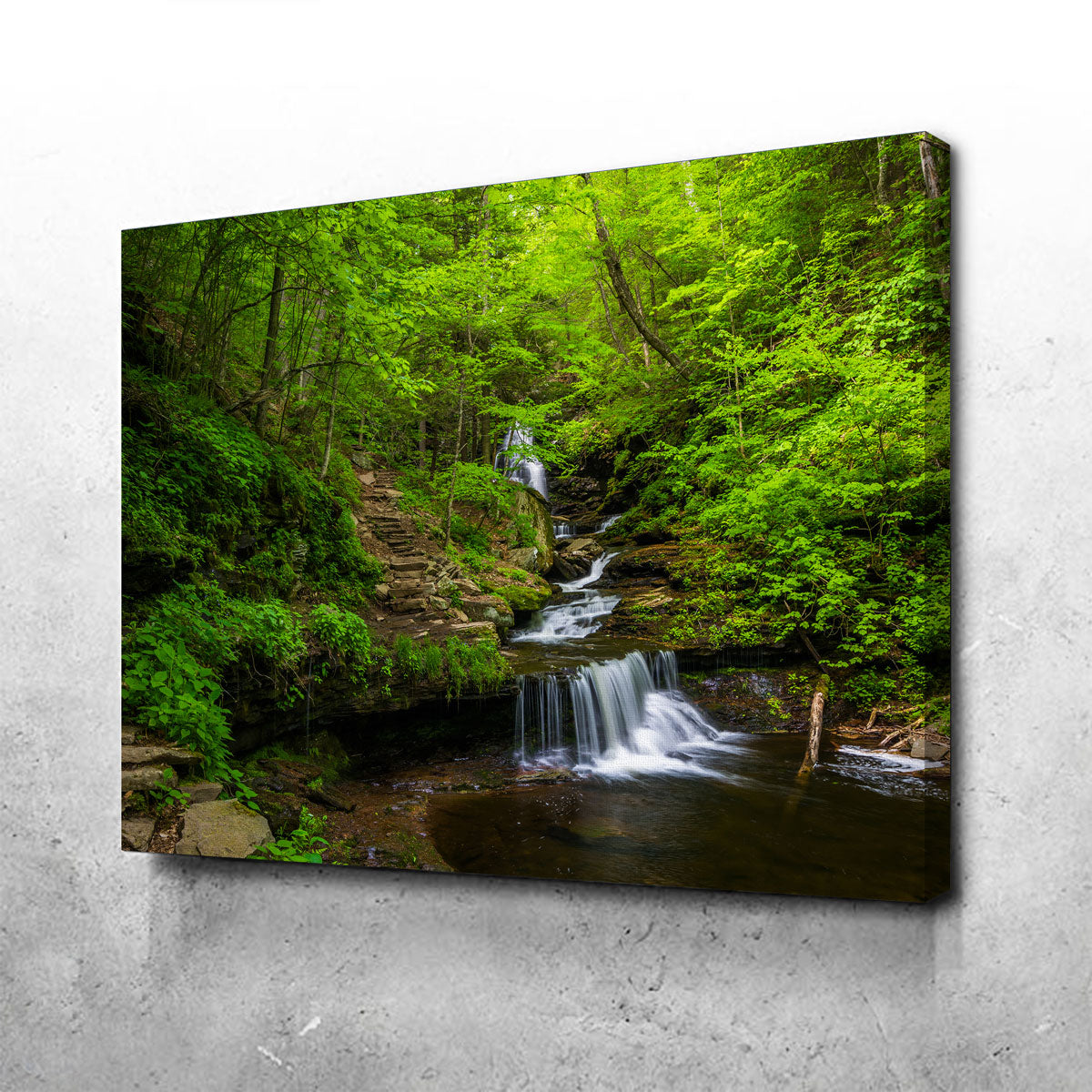 Stunning Ricketts Glen State Park Wall Art - Museum Quality Canvas on Sustainable Pine Frames