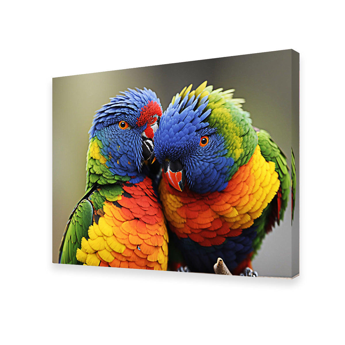 Stunning Lorikeet Birds Wall Art for Your Home Decor