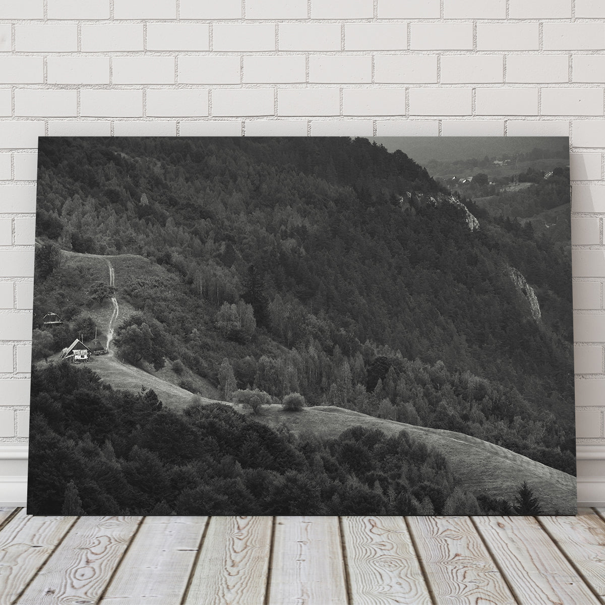 Exquisite Romania Hill Wall Art by George Sorin