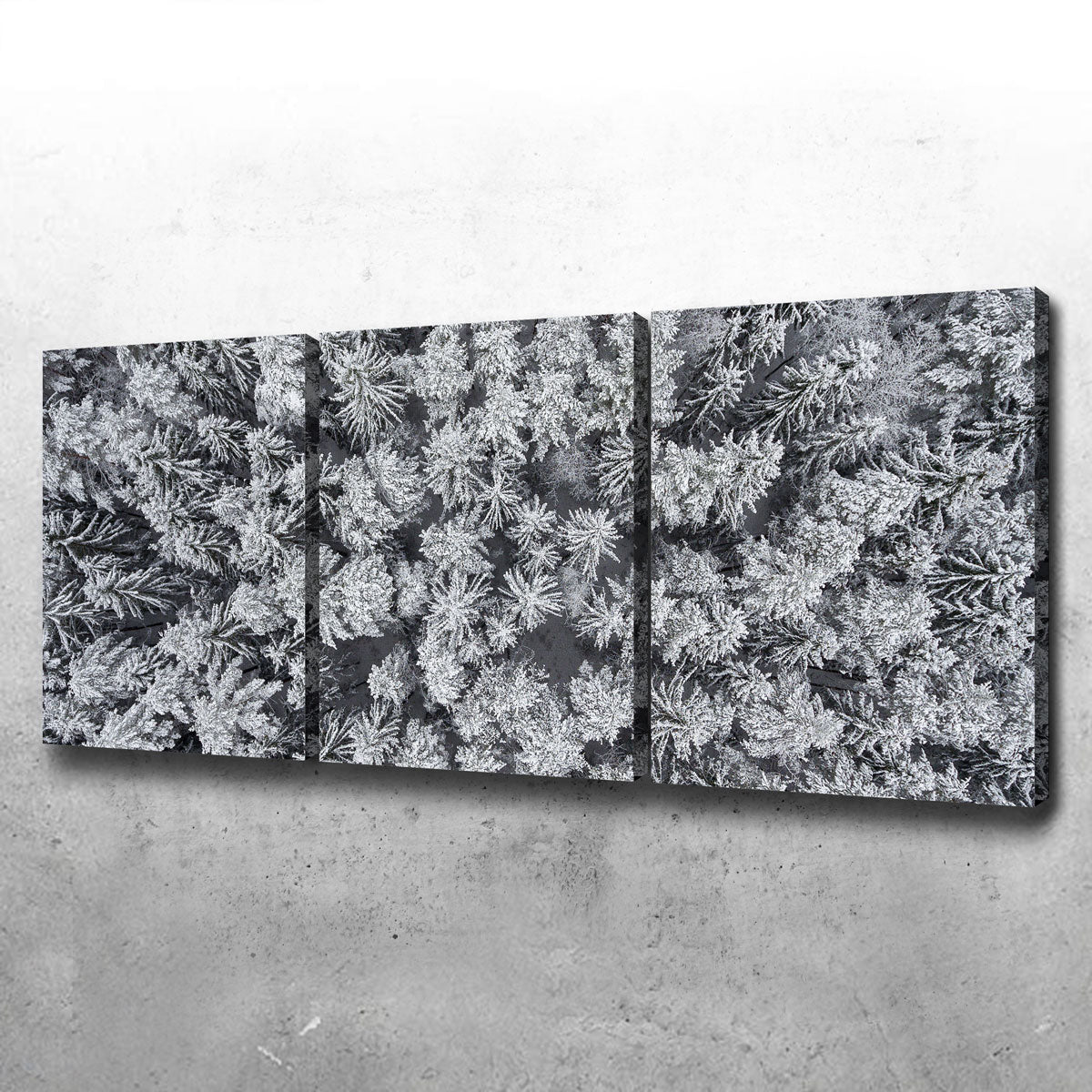 Exquisite Frosted Tips Wall Art by Karolis Janulis
