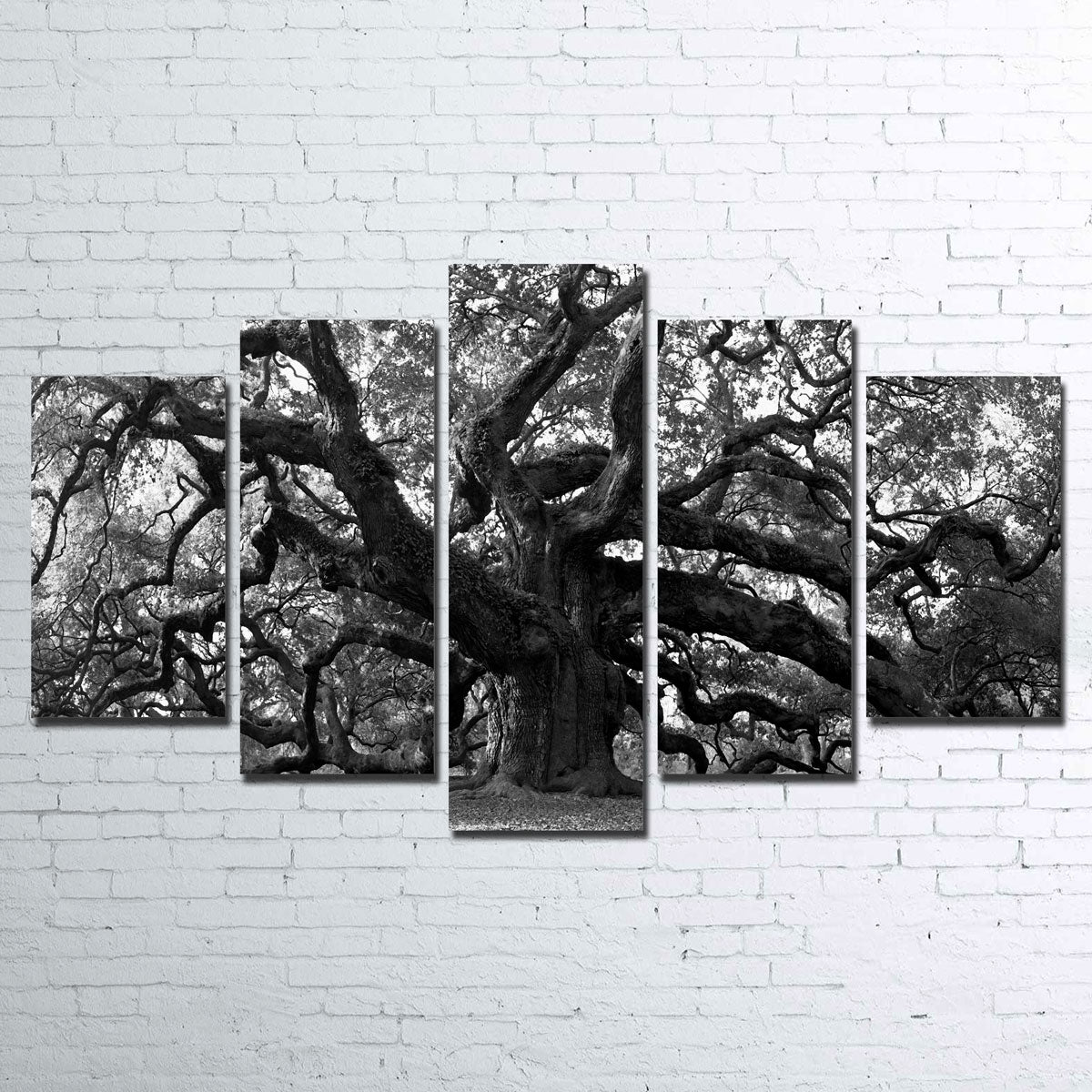 Stunning Charleston Angel Oak V2 Wall Art for Home Decor