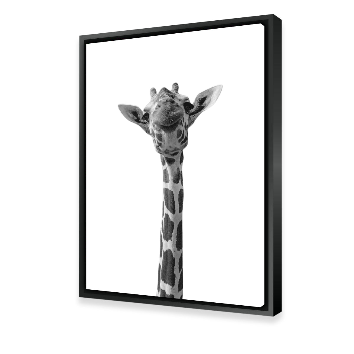 Whimsical Funny Giraffe Wall Art for Stunning Home Decor