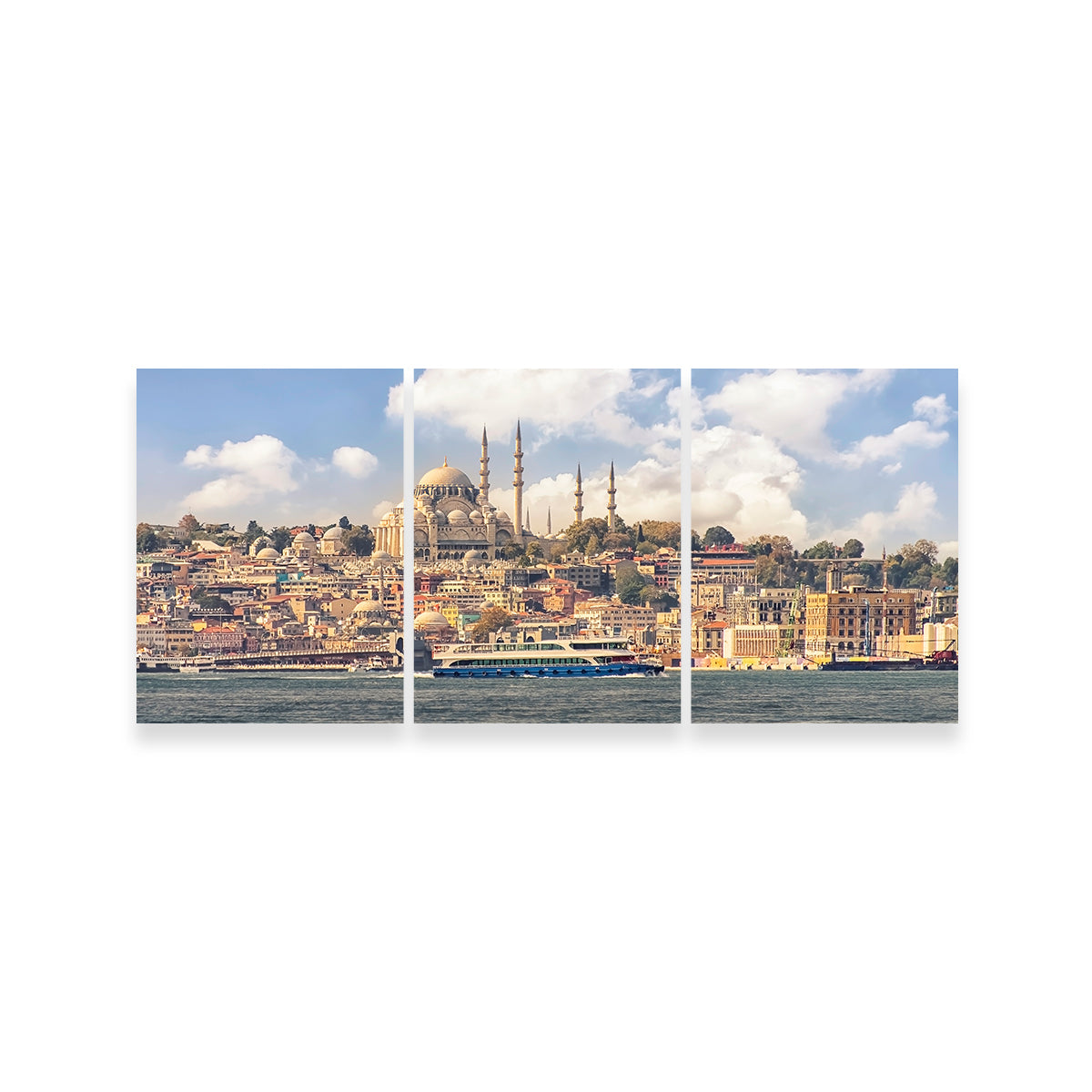 Exquisite Istanbul Wall Art by Manjik Pictures