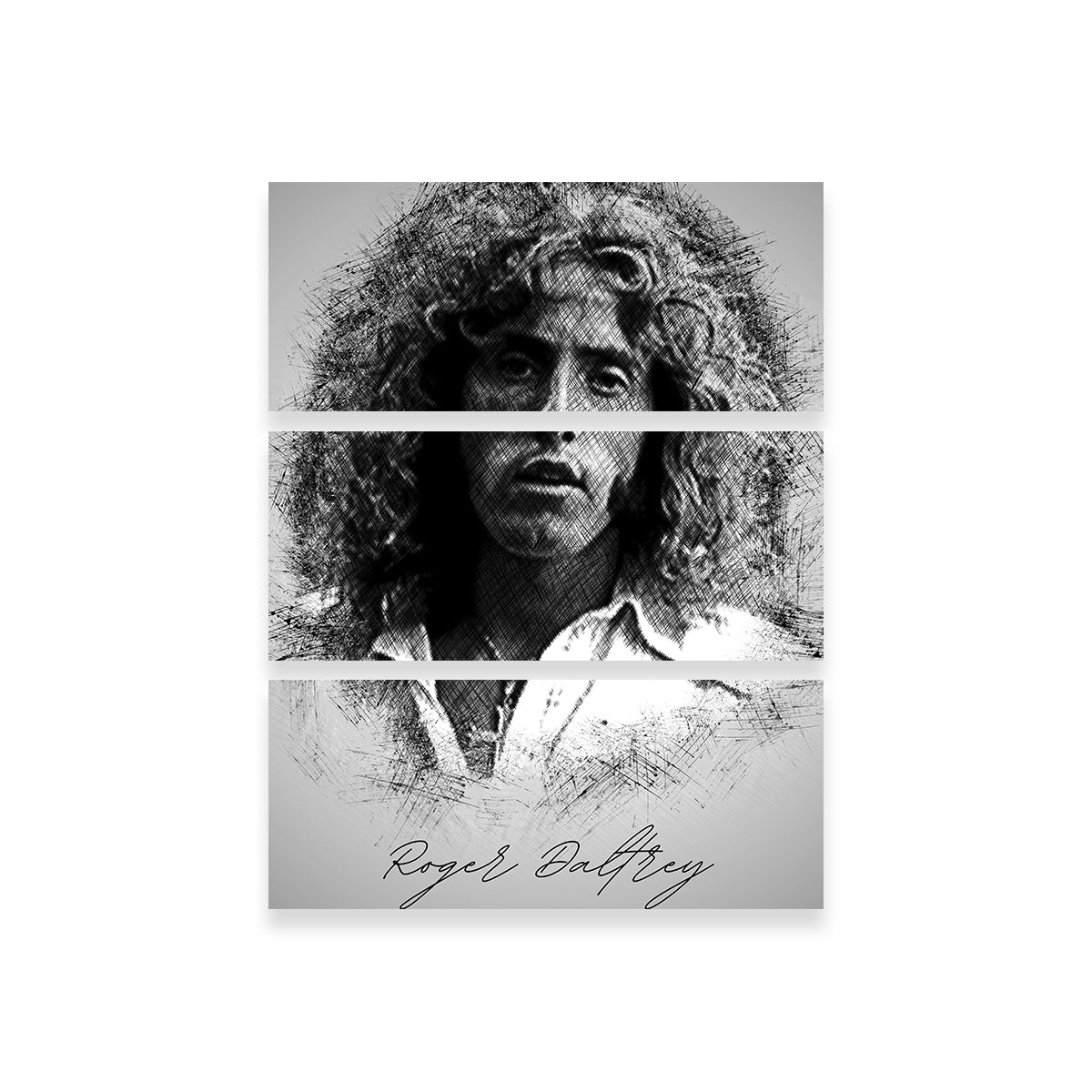 Stunning Roger Daltrey Wall Art for Your Home Decor
