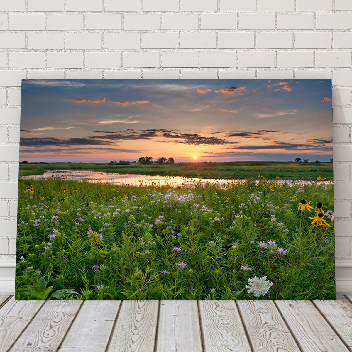 Stunning Open Field in Illinois Wall Art for Your Home Decor