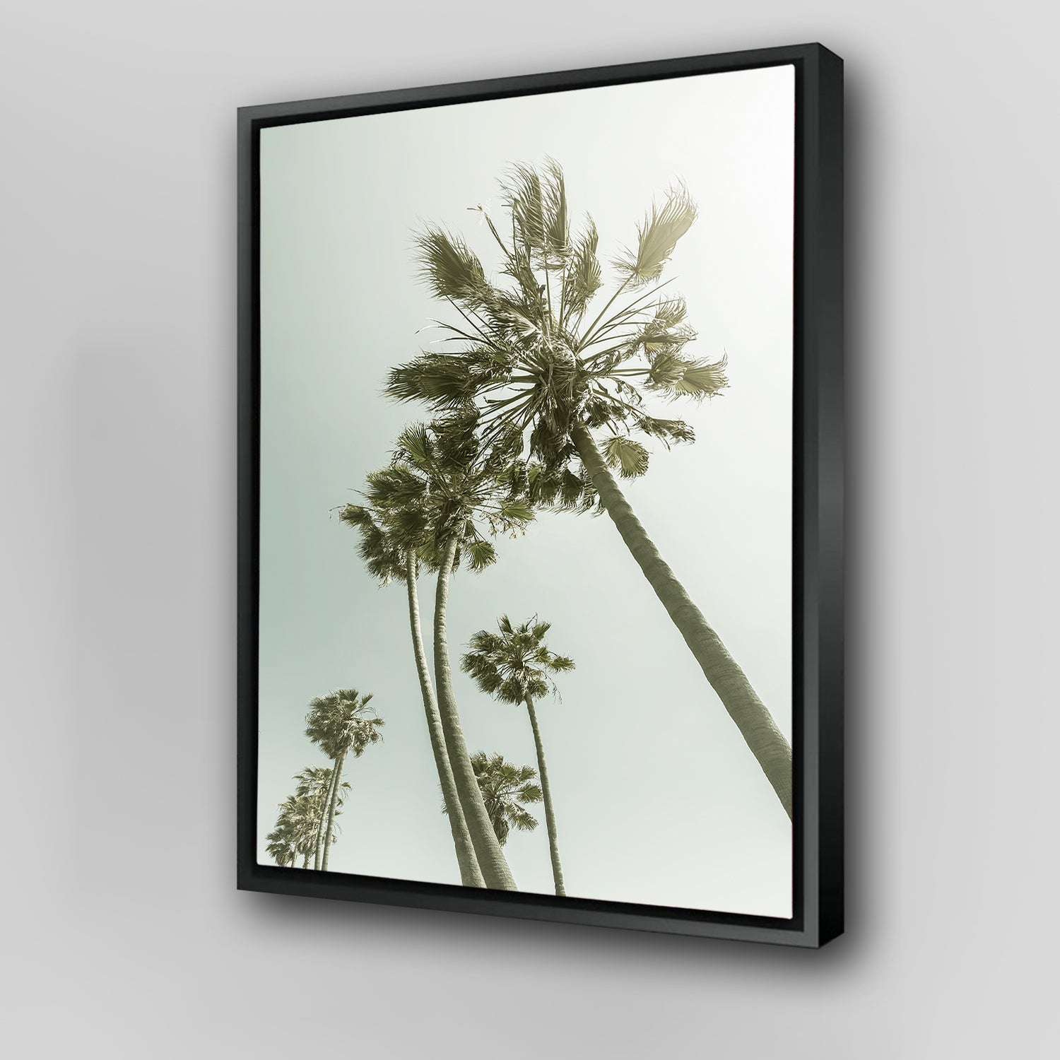 Exquisite Palm Trees in the Sun Wall Art for Stunning Decor