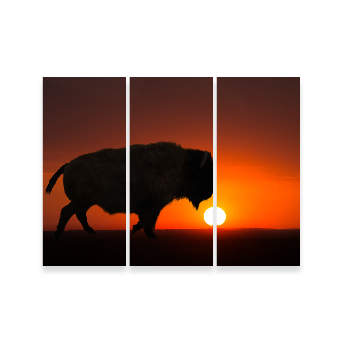 Stunning Bison at Sunset Wall Art for Your Home Decor