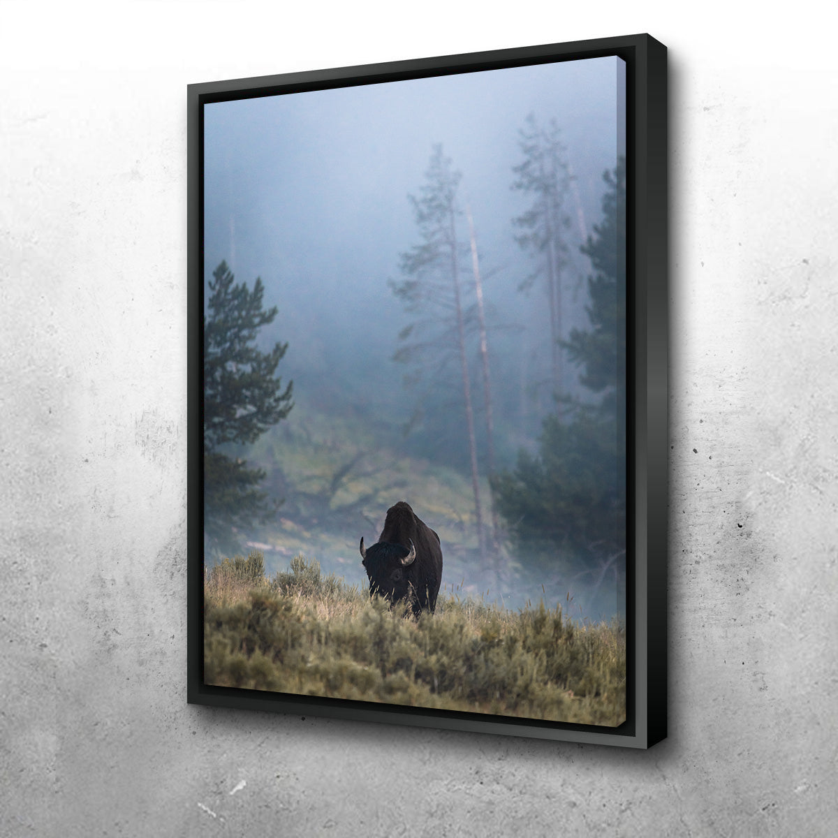 Stunning Lone Buffalo Wall Art by Lucas Moore