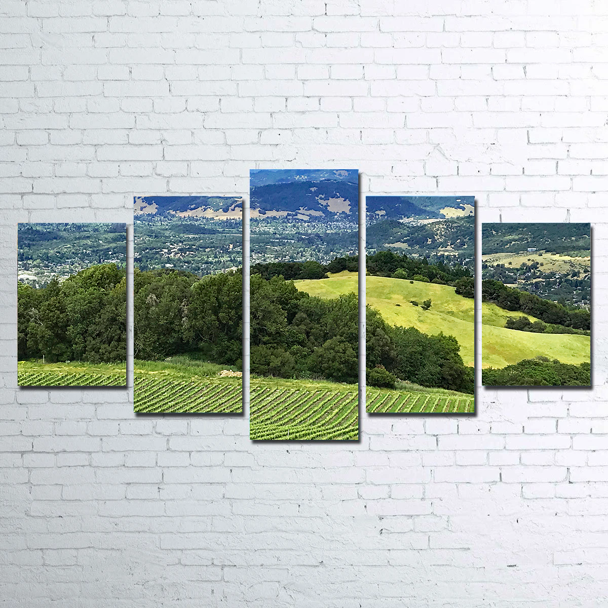 Stunning Rolling Hills and Vineyards of Sonoma County Wall Art for Your Home Decor