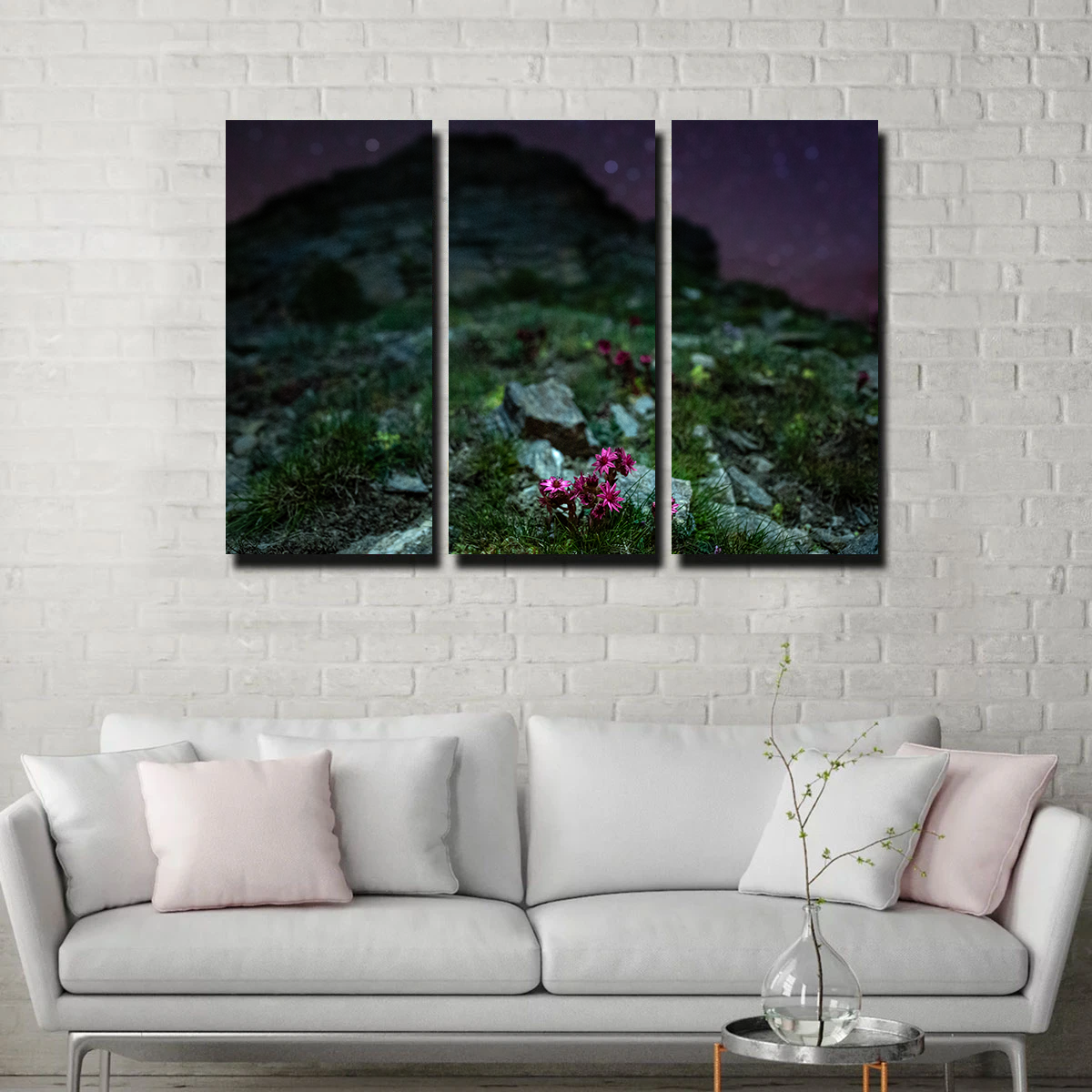 Exquisite Star Studded Joubarbe Wall Art by Jeff Graphy