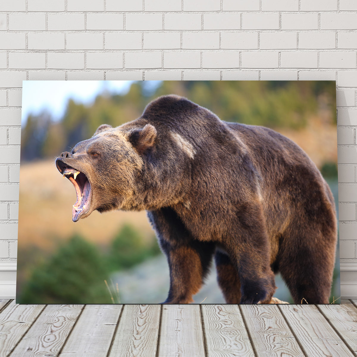Stunning Grizzly Bear Growling Wall Art for Your Home Decor