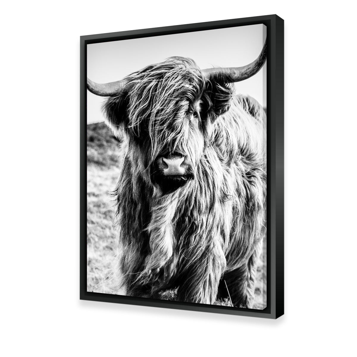 Exquisite Scottish Highland Cow Wall Art for Stunning Decor