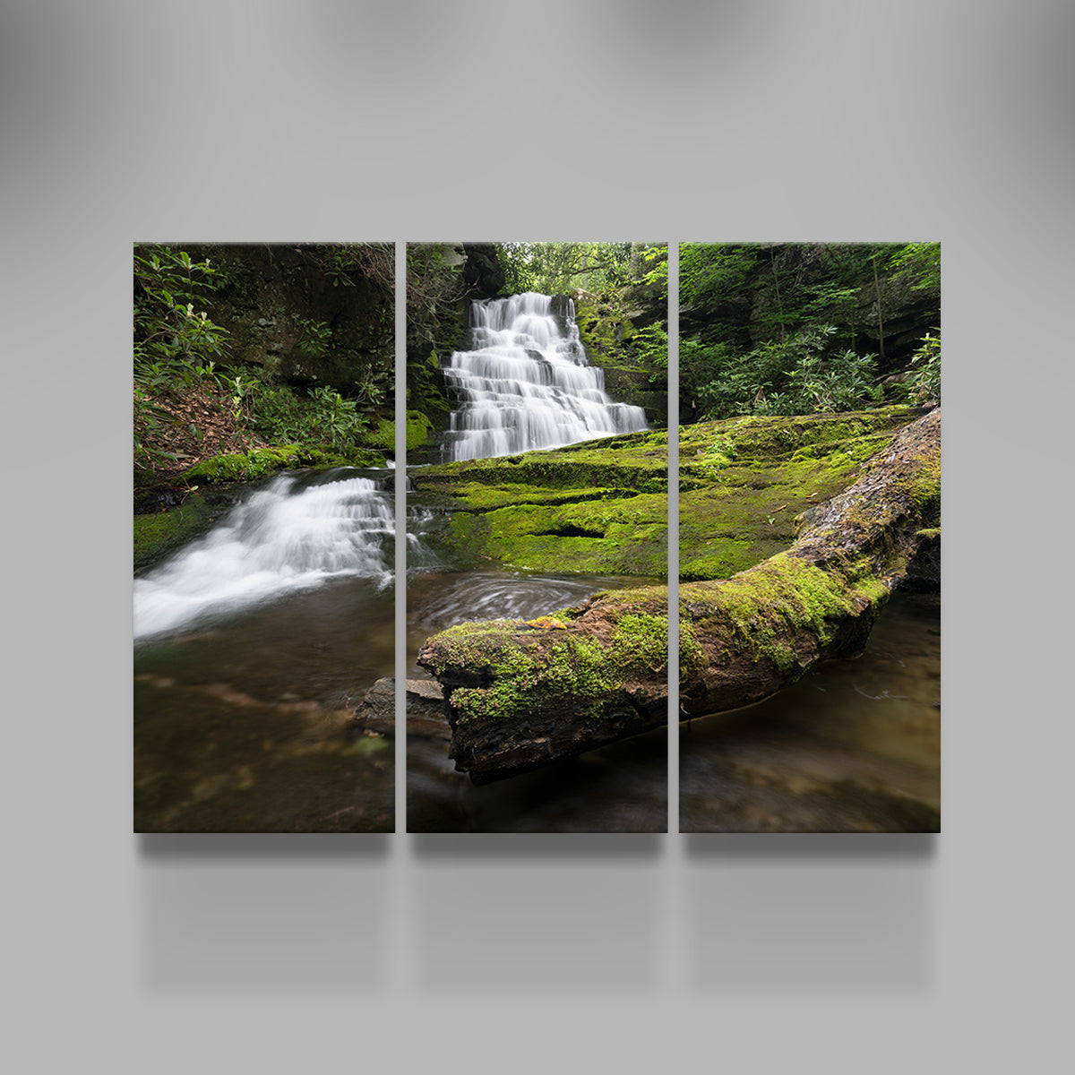Stunning Rattlesnake Falls Wall Art by Shaun Mayer