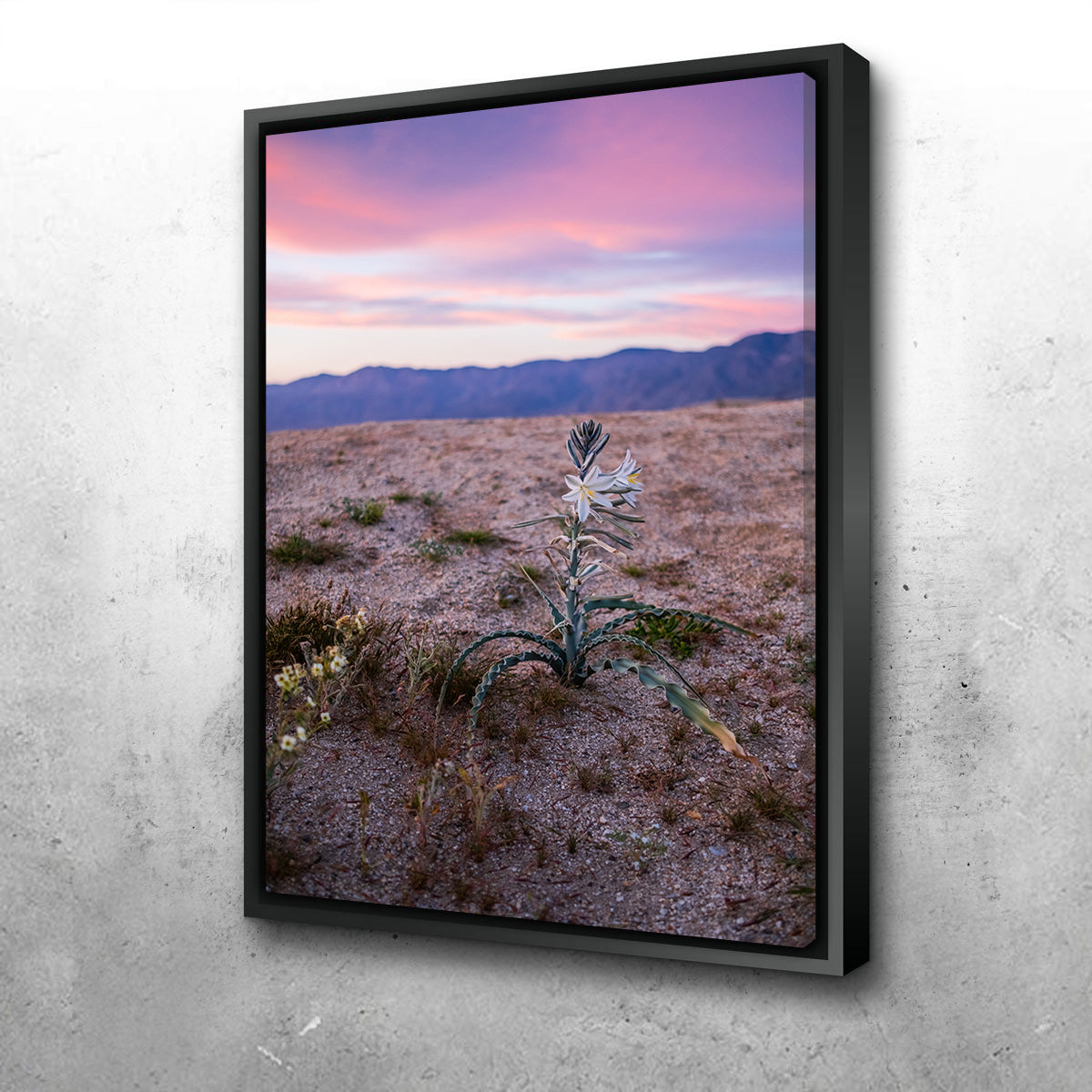 Exquisite Desert Wild Flowers Wall Art by Irish Crow