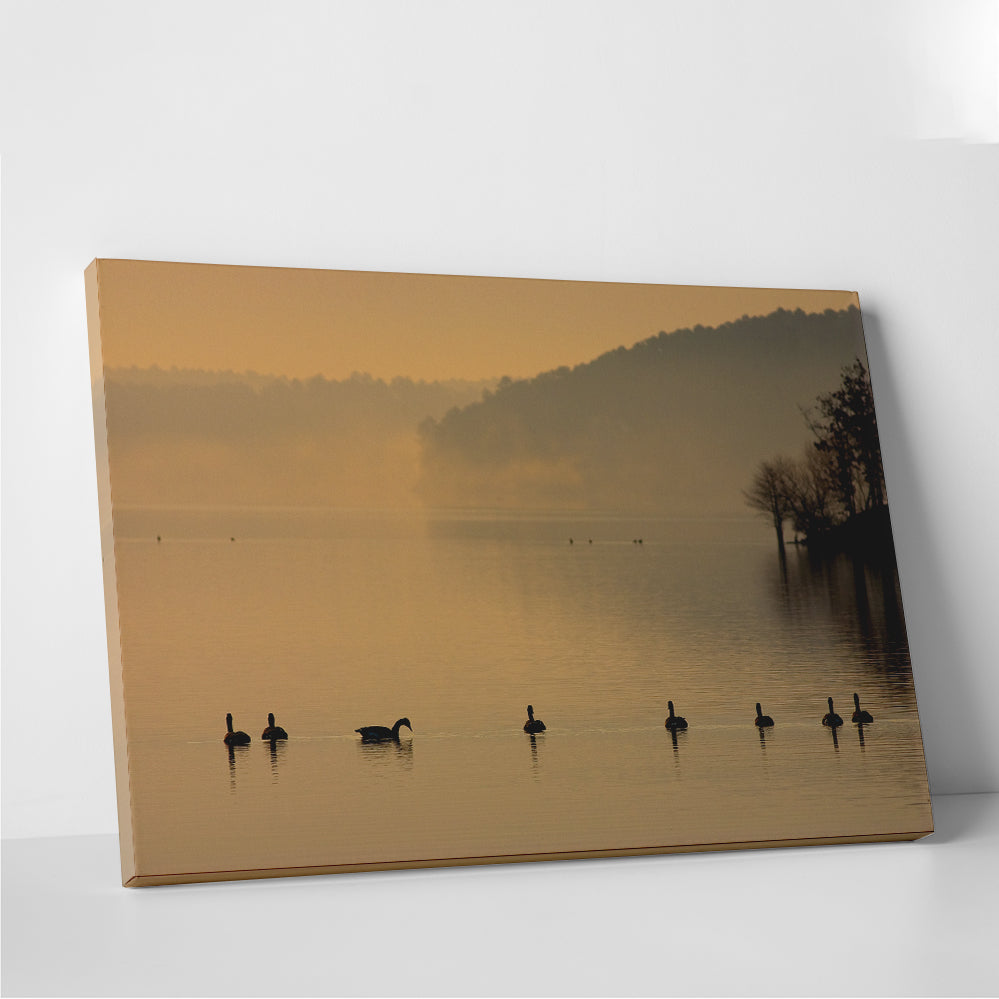 Stunning Geese on Lake Degray Wall Art for Your Home Decor