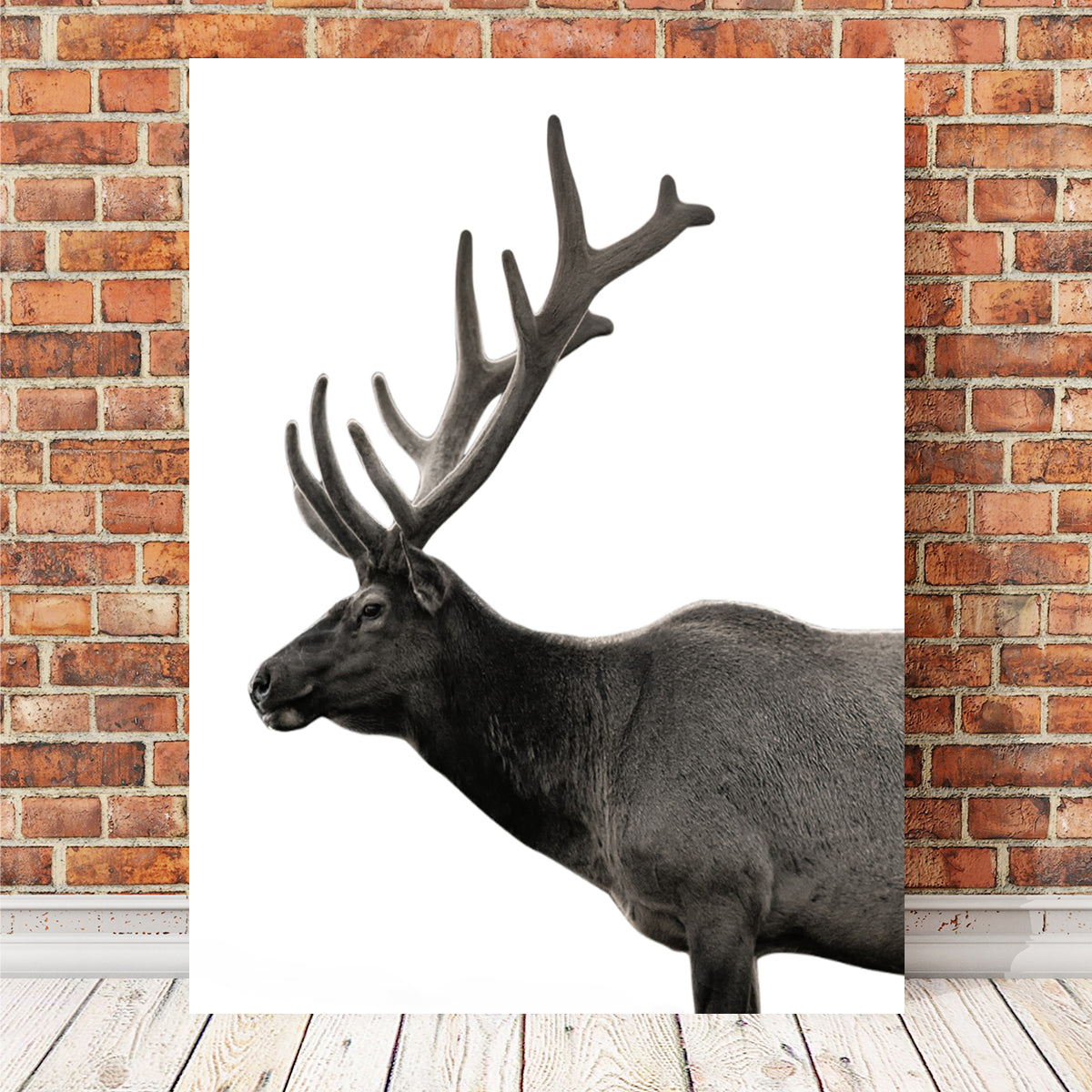 Exquisite Deer Grayscale Wall Art by Lawisi