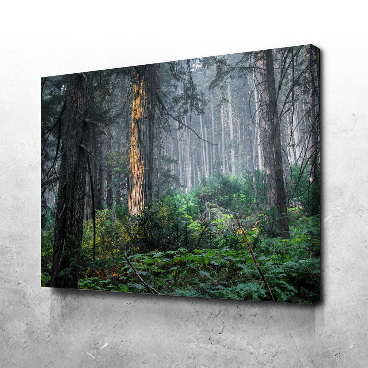 Exquisite Revelstoke Wall Art by Mike Cotton