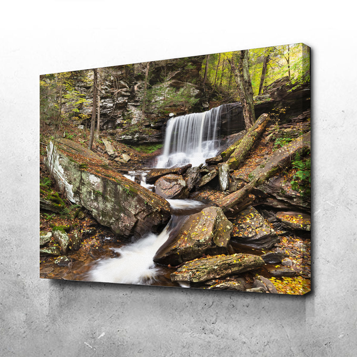 Exquisite Classic Scene Wall Art by Shaun Mayer