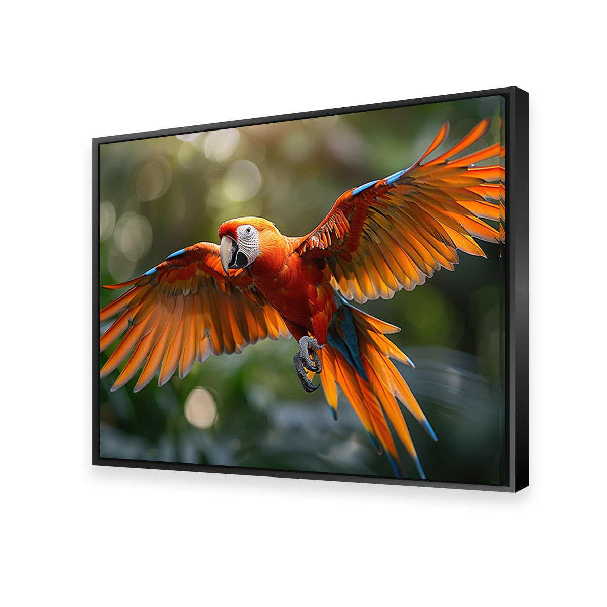Stunning Scarlet Macaw in Flight Wall Art for Home Decor