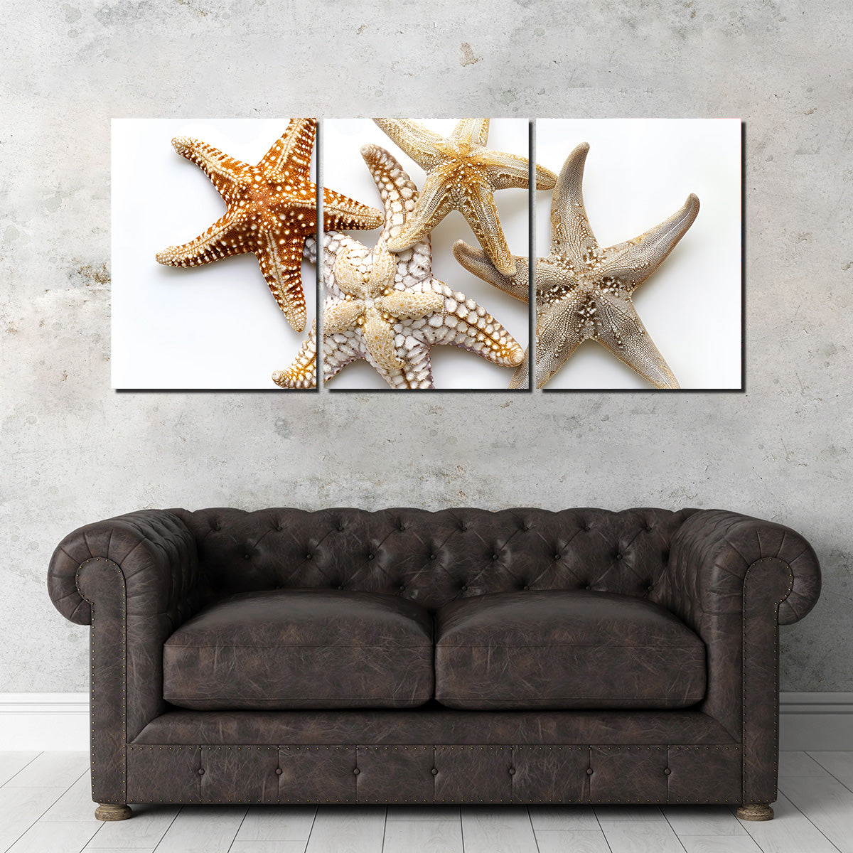 Gorgeous Starfishes Wall Art for Stunning Home Decor