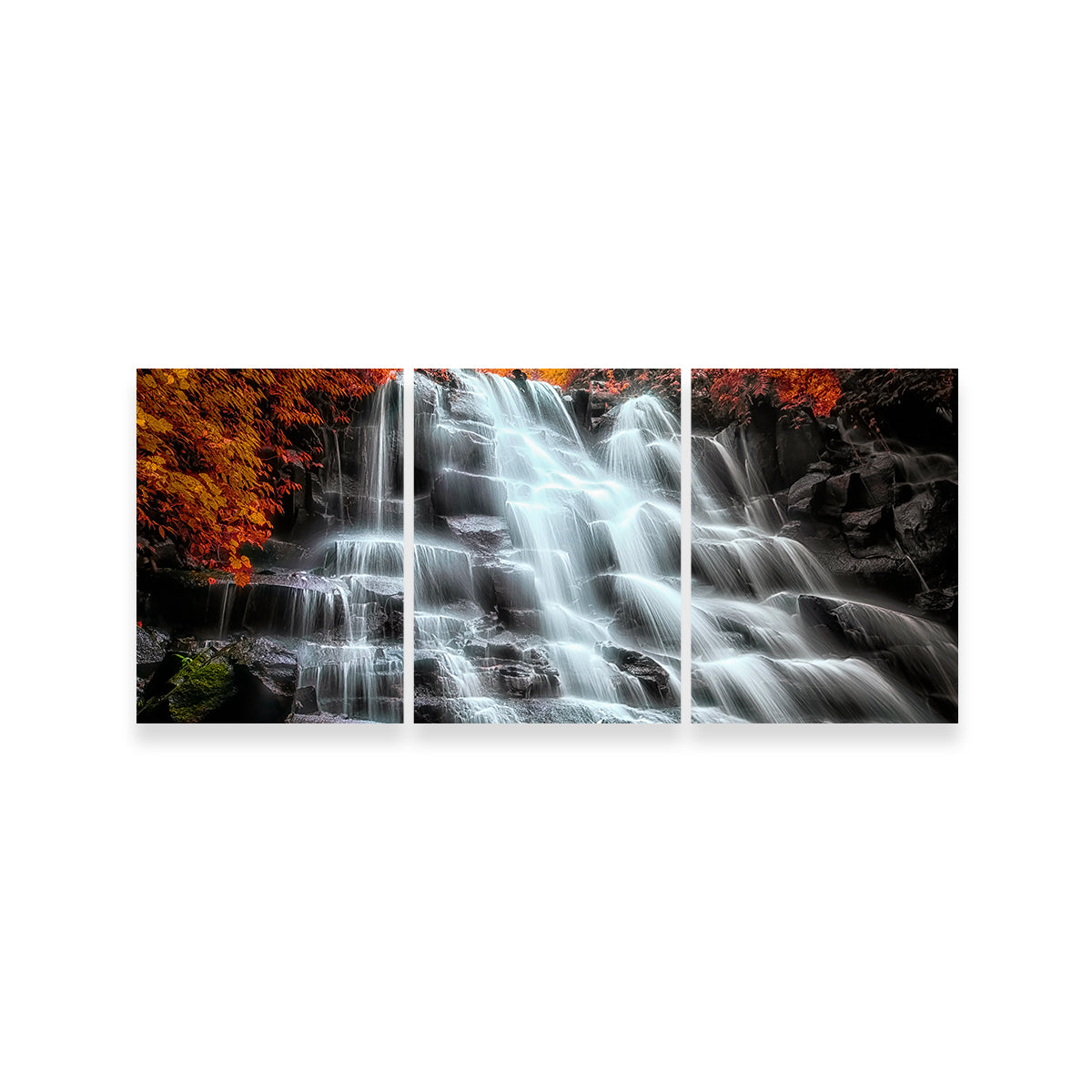 Exquisite Into The Wood Wall Art - Handmade with Sustainable Pine