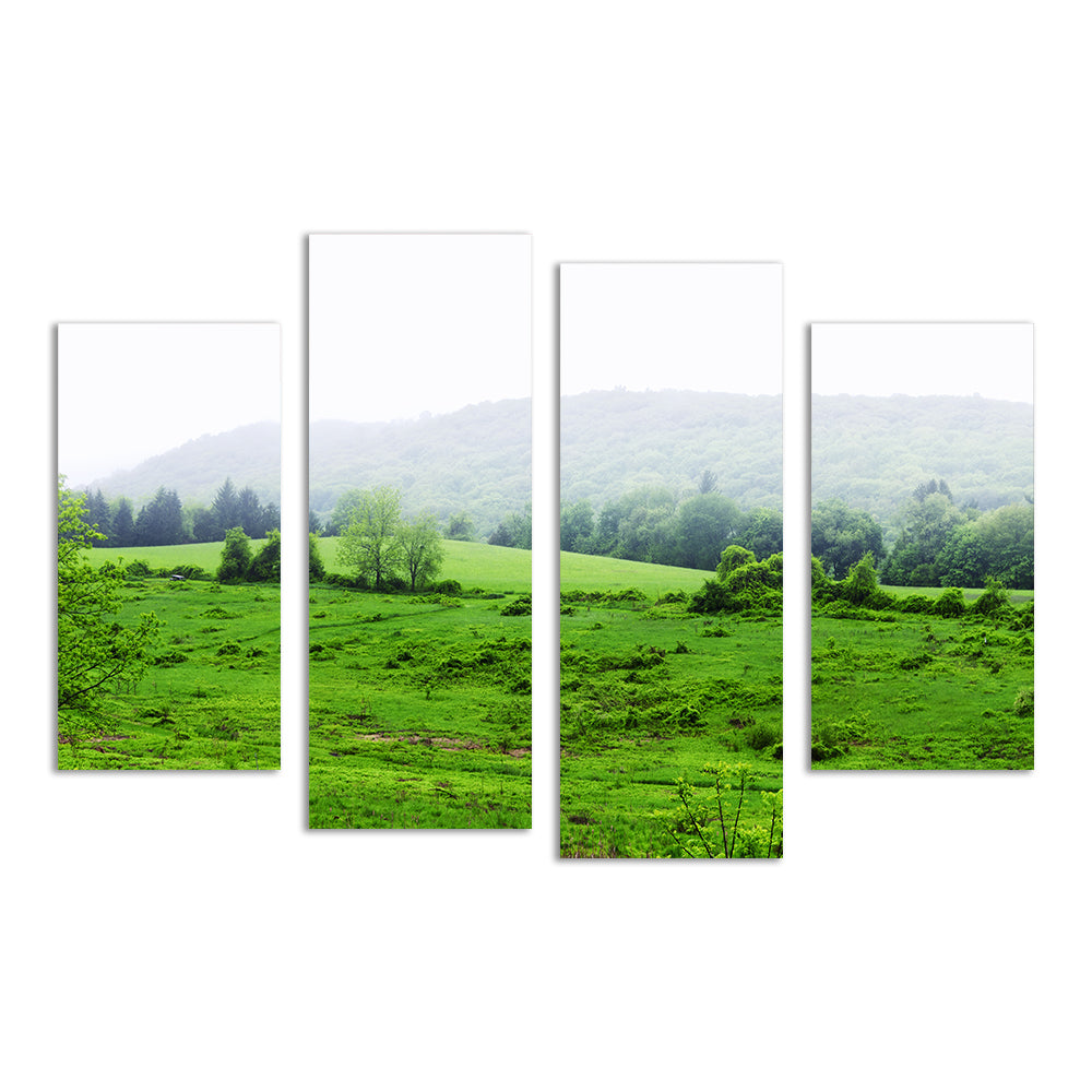 Tarrywile Park Stunning Wall Art for Your Home
