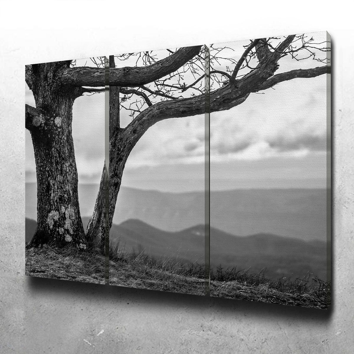 Stunning Desolate Limbs Wall Art by Dennis Maida