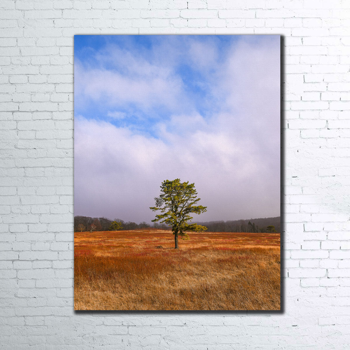 Enchanting Distant Fog Wall Art by Dennis Maida
