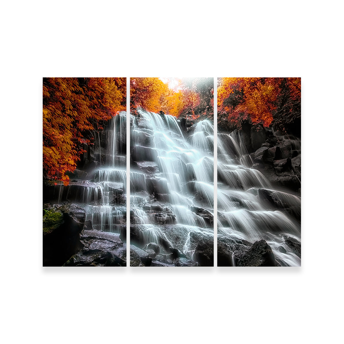 Exquisite Into The Wood Wall Art - Handmade with Sustainable Pine