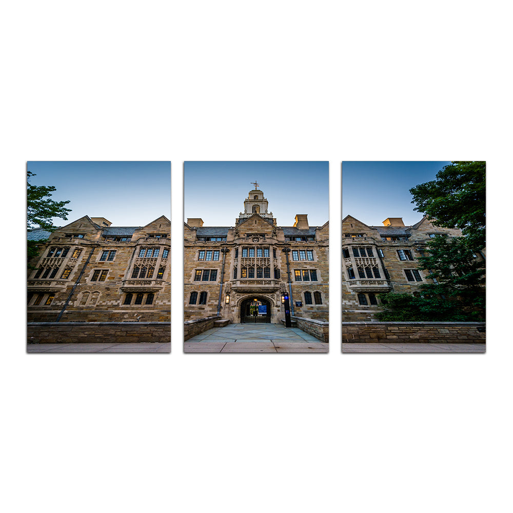 Exquisite Davenport College Building Wall Art for Stunning Home Decor