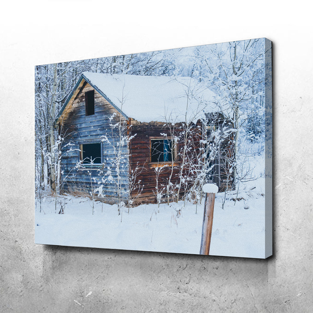 Stunning Abandoned Cabin Wall Art by Mike Cotton