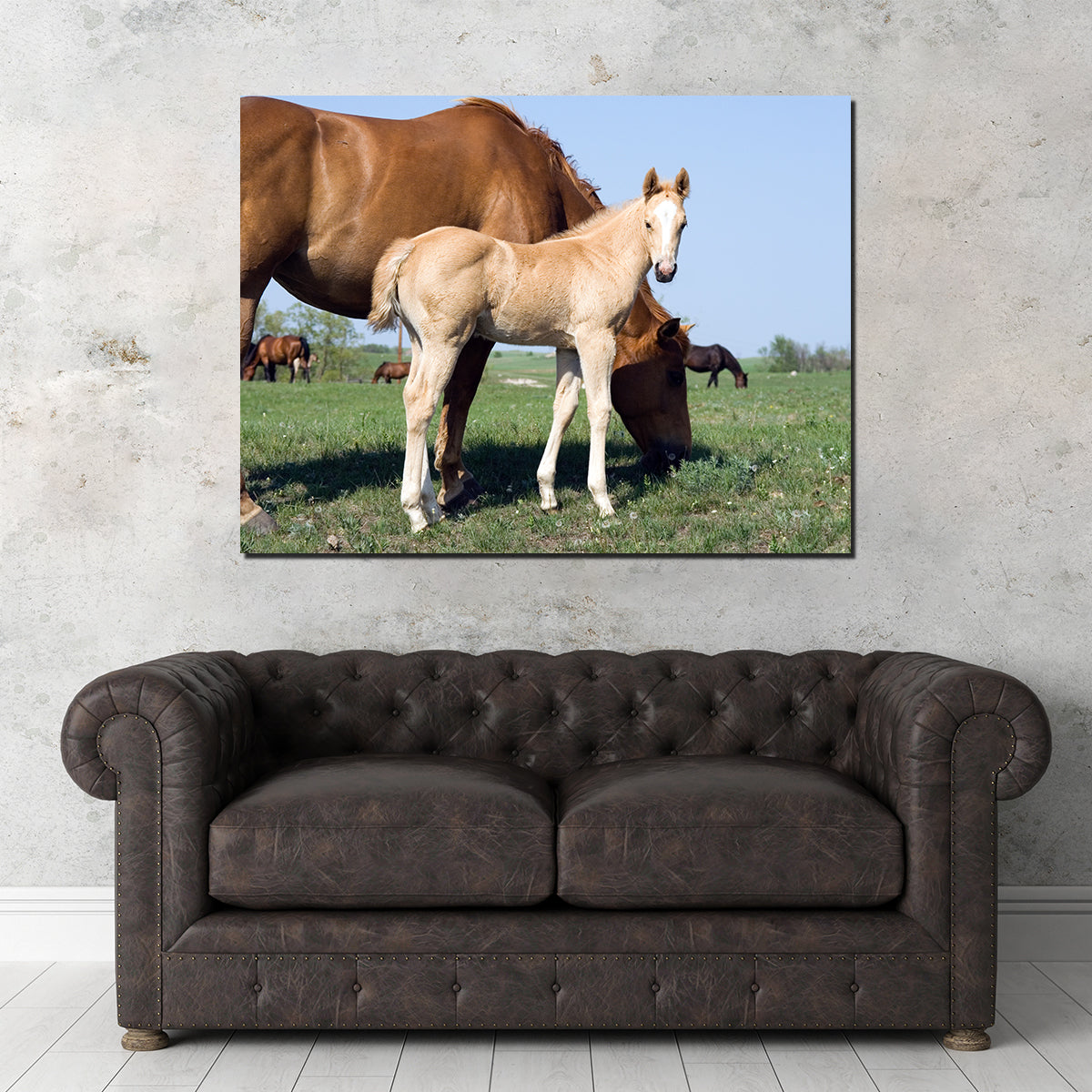 Exquisite Palomino Quarter Horse Foal and Mare Wall Art for Your Home Decor