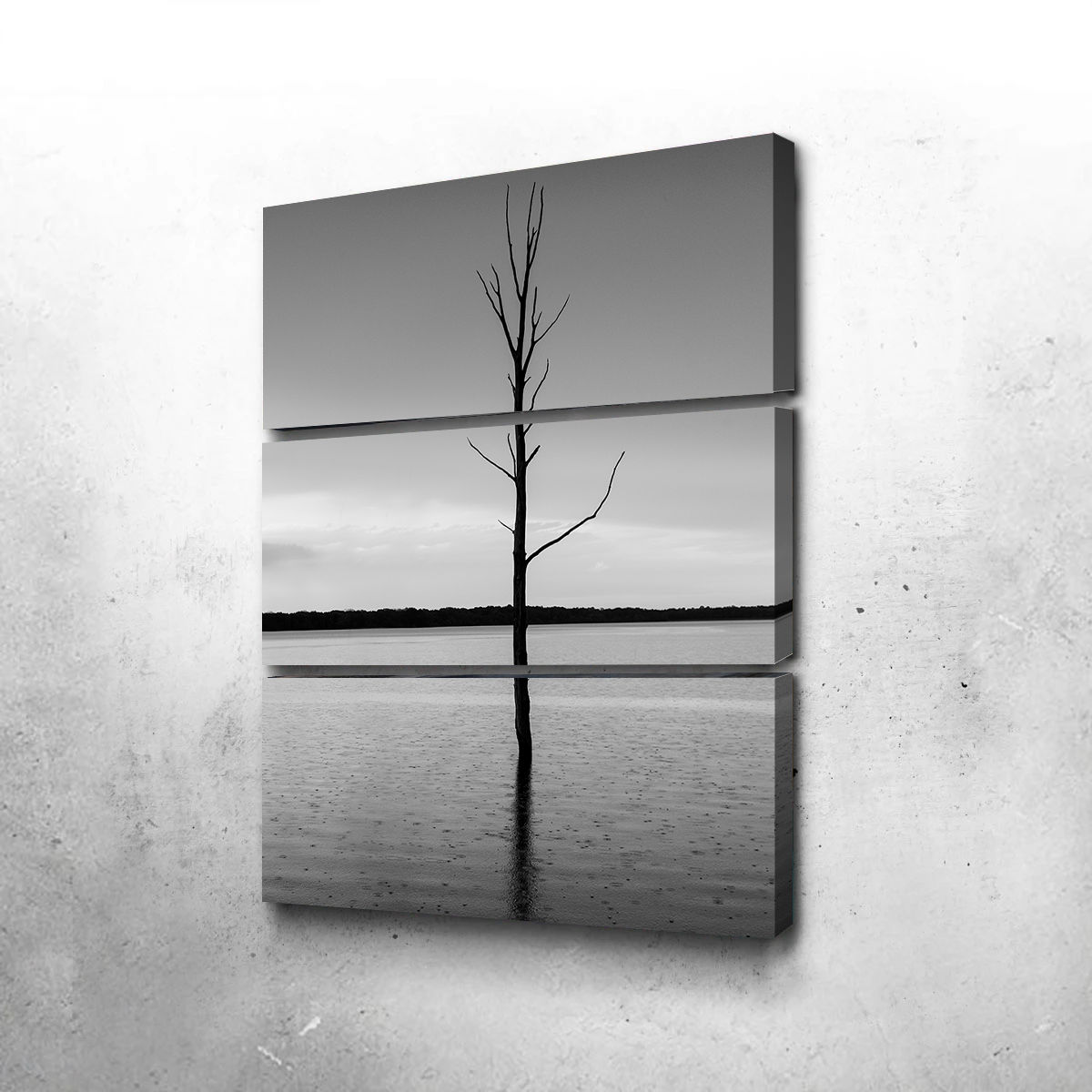 Stunning Isolated Droplets Wall Art by Dennis Maida