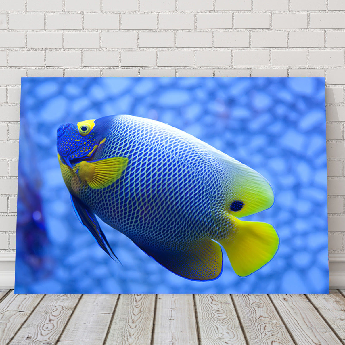 Vibrant Blue and Yellow Tropical Fish Wall Art for Stunning Home Decor