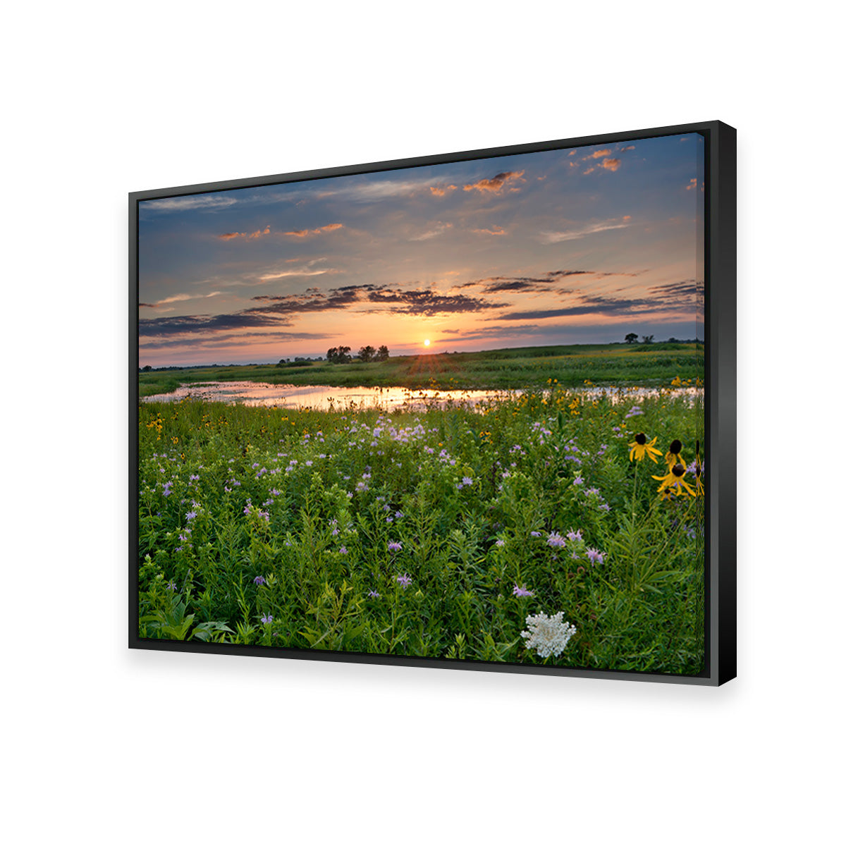 Stunning Open Field in Illinois Wall Art for Your Home Decor