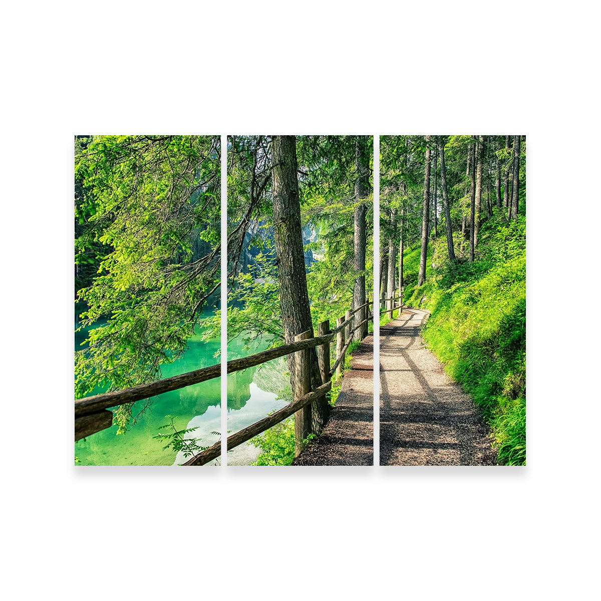 Stunning Path By The Lake Wall Art for Your Home Decor
