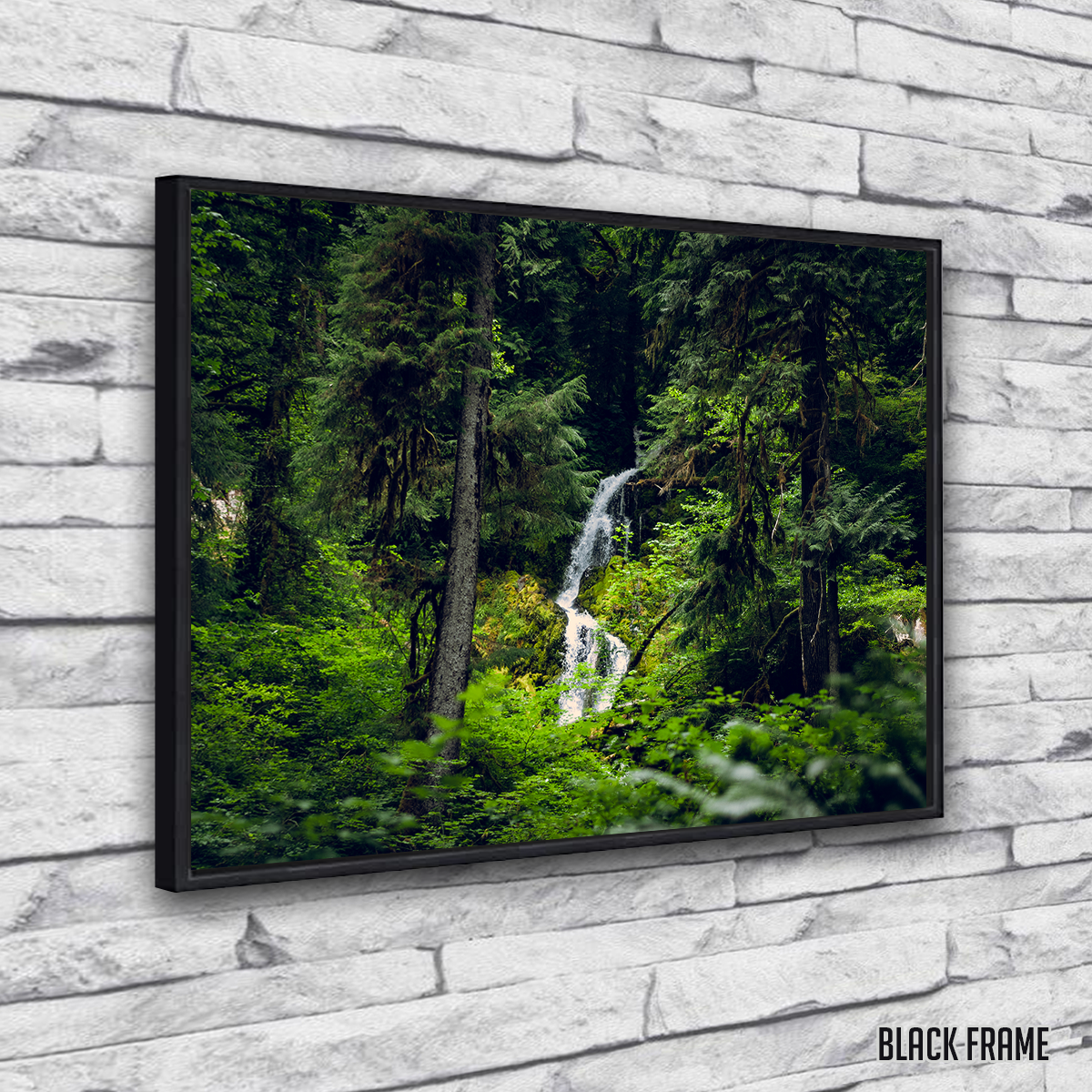 Exquisite Rainforest Waterfall Wall Art by Kyle Sherry